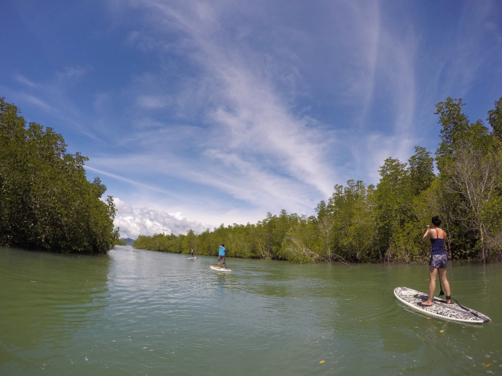 44807342_475572486270528_7124988991853559808_o